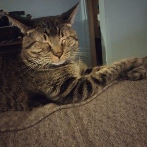 Meet your Posher, Angela